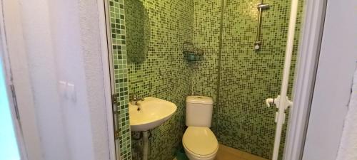 a green tiled bathroom with a toilet and a sink at Къща за гости DANI DREAM in Sapareva Banya