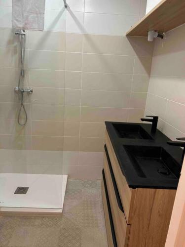 La salle de bains est pourvue d'une douche, d'un lavabo et d'un lavabo. dans l'établissement Spacieux T3 Métro Saint Cyprien / 4-8 personnes, à Toulouse