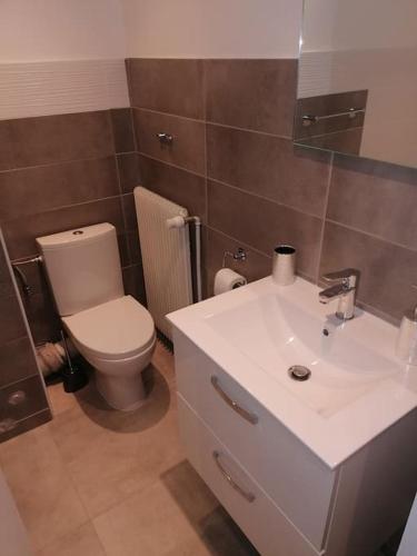 une salle de bain avec un lavabo blanc et des toilettes dans l'établissement Le belvédère-centre ville, à Belfort