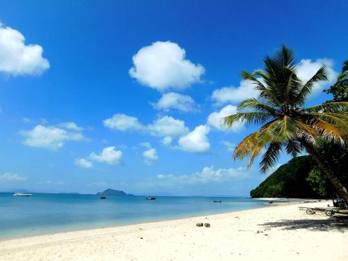 a palm tree on a beach with the ocean at Swiss Bonihouse Koh Yao Yai in Ban Phlu Nai