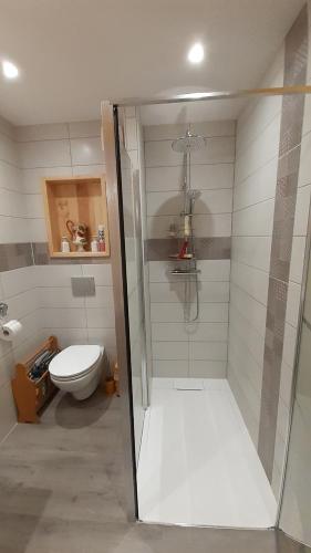 uma casa de banho com um chuveiro e um WC. em Le Bois gentil em Foncine-le-Haut
