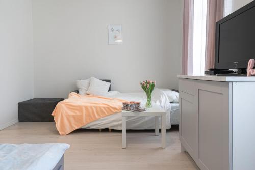 派尔努Kalamehe Modern Apartment 1 near City center的客厅设有1张床和1张桌子及电视