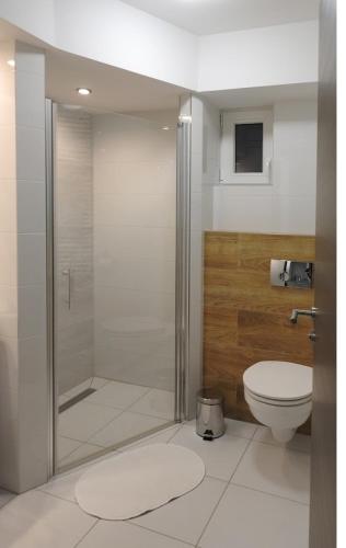 a bathroom with a shower and a toilet at Harmónia Vendégház Bükkszék in Bükkszék