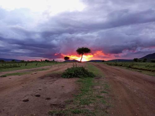 Mara view safari camp – Photos 2