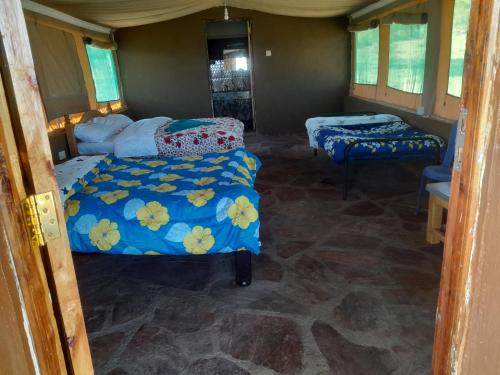 Mara view safari camp – Photos 5