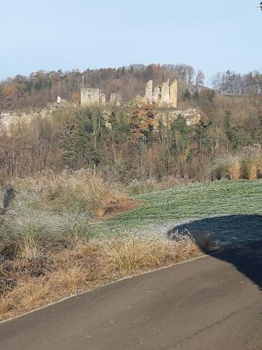 a road in the middle of a field with a castle at Le Nid Douillet in Theux