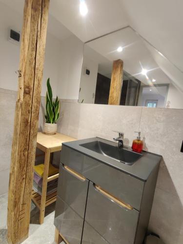 a bathroom with a sink and a mirror at Pod Wieżą u Kory in Siedlęcin