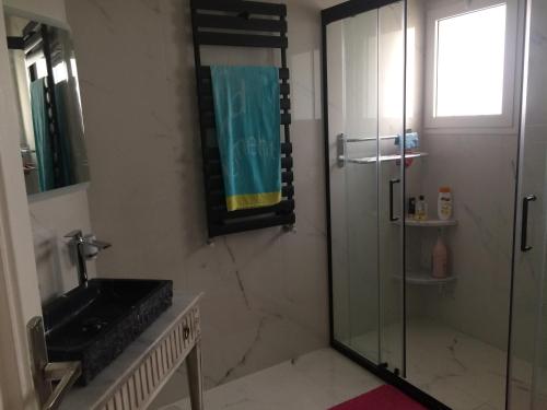 een badkamer met een glazen douche en een wastafel bij Villa Gammarth - Suite N°2 in Gammarth