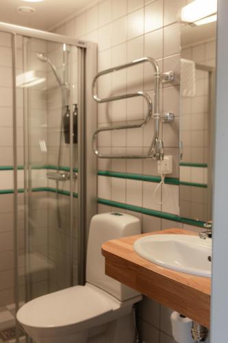 a bathroom with a toilet and a sink and a shower at Munkedals Herrgård in Munkedal