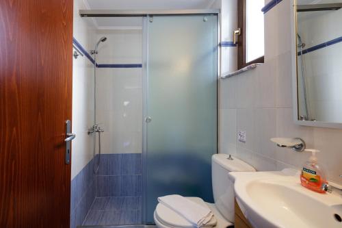 a bathroom with a shower and a toilet and a sink at Your Private Luxury Villa Mahin, Pool, Sea view, Rethymno in Kiriánna