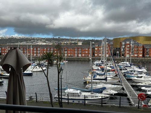 a bunch of boats are docked in a harbor at Water Front APT Walk to the Beach & City Centre in Swansea