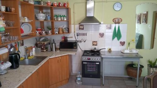 eine kleine Küche mit Herd und Spüle in der Unterkunft Coffee Hostel in Lwiw