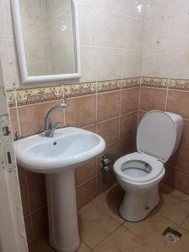 y baño con lavabo, aseo y espejo. en Fatih Eco 3 Apart, en Estambul