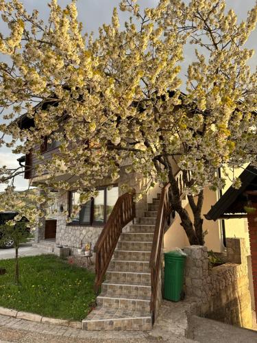 a tree with white flowers on the stairs of a house at Apartmani Dunja Zlatar in Nova Varoš