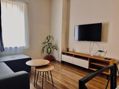 Een TV en/of entertainmentcenter bij Stefan Suite Belgrade Center Apartment
