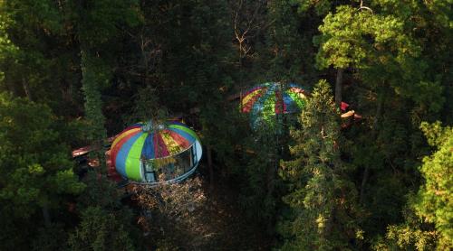 an overhead view of two balls in a forest at Forest Glass inn in Zhangjiajie