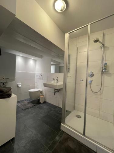 ein Bad mit einer Dusche, einem WC und einem Waschbecken in der Unterkunft Ferienwohnungen zu St. Johann in Konstanz