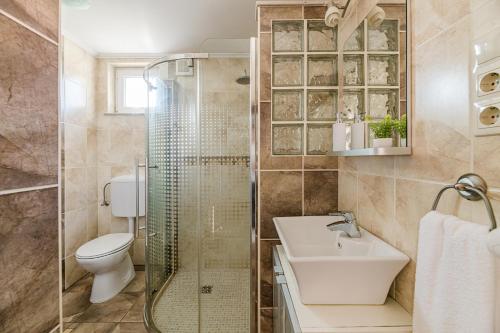 a bathroom with a shower and a toilet and a sink at Lexi Apartman private HydroMassage Hot Tub Balatonboglár in Balatonboglár
