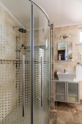 a bathroom with a glass shower and a sink at Lexi Apartman private HydroMassage Hot Tub Balatonboglár in Balatonboglár