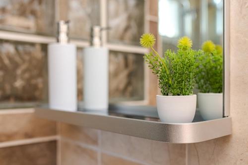 a shelf with two plants on it in a bathroom at Lexi Apartman private HydroMassage Hot Tub Balatonboglár in Balatonboglár
