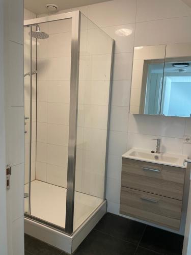 a bathroom with a shower and a sink at Home sweet home Arnhem in Arnhem