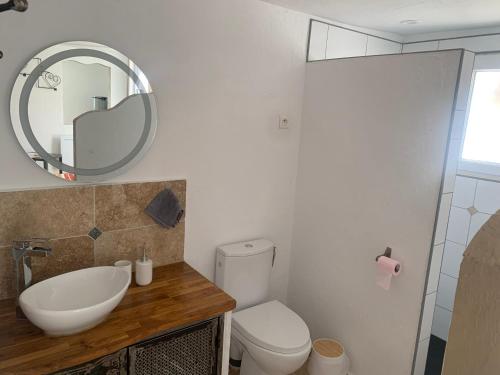 une salle de bain avec un lavabo, des toilettes et un miroir dans l'établissement Appartement au calme et belle terrasse, à Peyroules