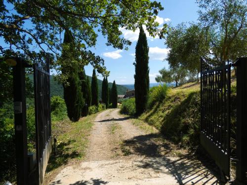 uma estrada de terra com árvores e uma cerca em Scappo in Umbria, la Vallata em Parrano