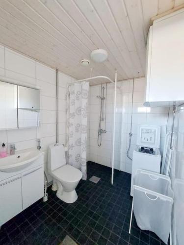 a bathroom with a toilet and a sink and a shower at Kotimaailma - Valoisa kalustettu yksiö Espoossa in Espoo