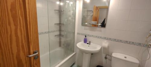 La salle de bains est pourvue d'une douche, d'un lavabo et de toilettes. dans l'établissement Apartamento SIRO Compostela, à Saint-Jacques-de-Compostelle