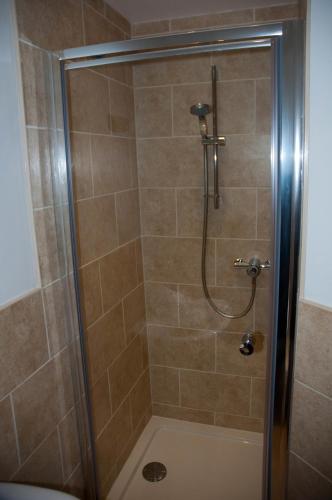 a shower with a glass door in a bathroom at Greyhound Country Inn in Honiton