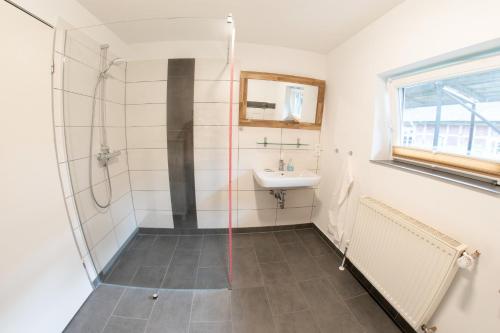 a bathroom with a shower and a sink at Bullerbü Hanrade zwischen Hamburg und Bremen in Heeslingen