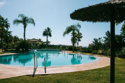 a large swimming pool with palm trees in the background at Casa Jilou in Mijas Costa