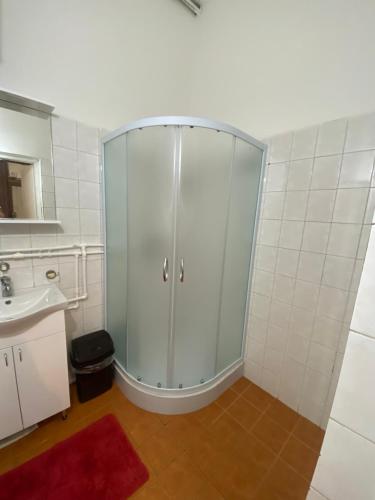 a bathroom with a glass shower and a sink at Apartman Loki in Jagodina
