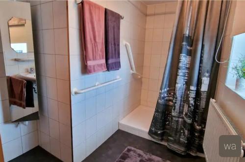 y baño con ducha, aseo y lavamanos. en Ferienwohnung Ahlemeier, 