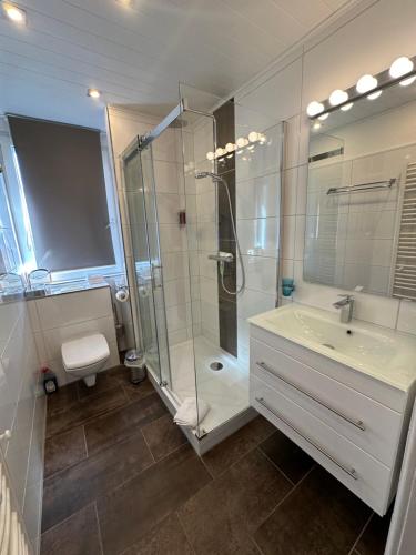 La salle de bains est pourvue d'une douche, d'un lavabo et de toilettes. dans l'établissement Ferienwohnung Jule, à Grenzach-Wyhlen