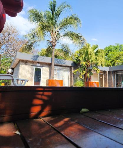 a view of a house with a palm tree at FM GUEST LODGE Comfort, Tranquility & Peace of Mind in Johannesburg