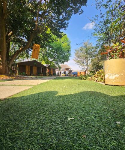 a large yard with green grass and a tree at FM GUEST LODGE Comfort, Tranquility & Peace of Mind in Johannesburg