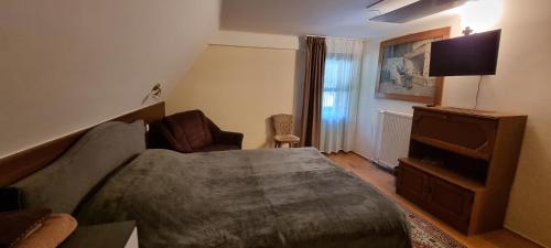 a bedroom with a bed and a chair and a television at Planinski Dom na Travni Gori in Sodražica