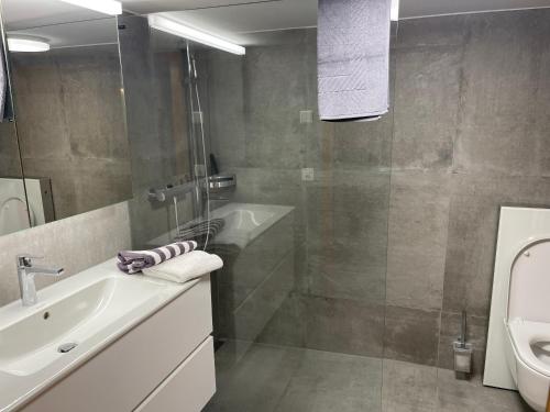 a bathroom with a sink and a shower and a toilet at Weissmies Lodge in Saas-Grund