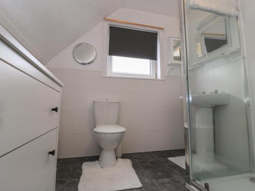 a small bathroom with a toilet and a shower at Dunard Villa in Stornoway