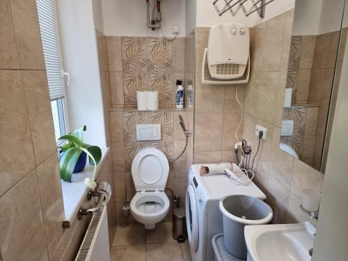 a small bathroom with a toilet and a sink at Garsoniera DUKLA 289 in Děčín
