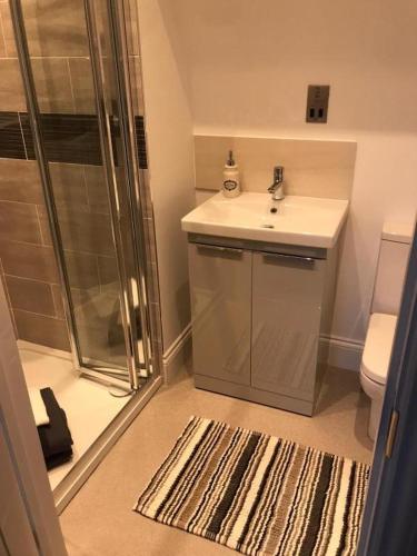 a bathroom with a shower and a sink and a toilet at The Old School House - 6 Postland Road, Crowland in Crowland