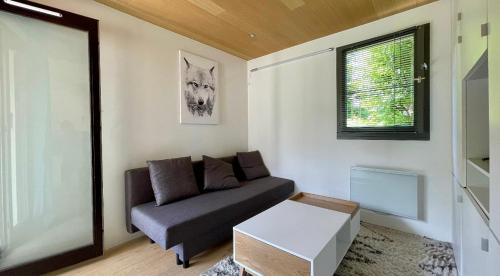 a living room with a couch and a window at Studio rénové avec terrasse Sud idéalement situé in Combloux