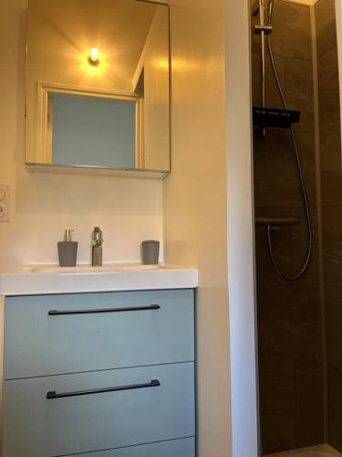 une salle de bain avec un lavabo, un miroir et une douche dans l'établissement Chez Sophie et Vincent, à Le Poiroux