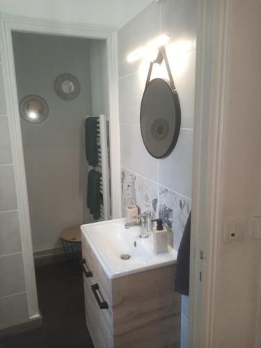 uma casa de banho com um lavatório e um espelho em les amandiers em Tours