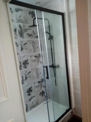 een douche met een glazen deur in de badkamer bij les amandiers in Tours