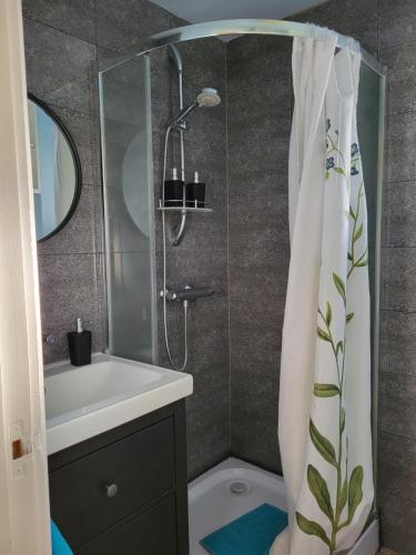 y baño con ducha con lavabo y cortina de ducha. en Hvanneyri apartment, en Hvanneyri