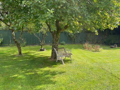 a park bench sitting under a tree in a yard at Woodland House B & B in Wimborne Minster