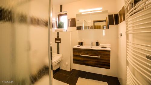 a bathroom with a sink and a toilet and a shower at Mucha Apartments in Terchová