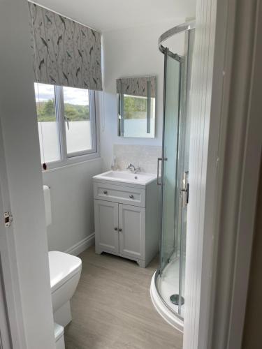 a bathroom with a shower and a toilet and a sink at Woodland House B & B in Wimborne Minster